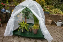 Colibri Abdeckung Dome transparent