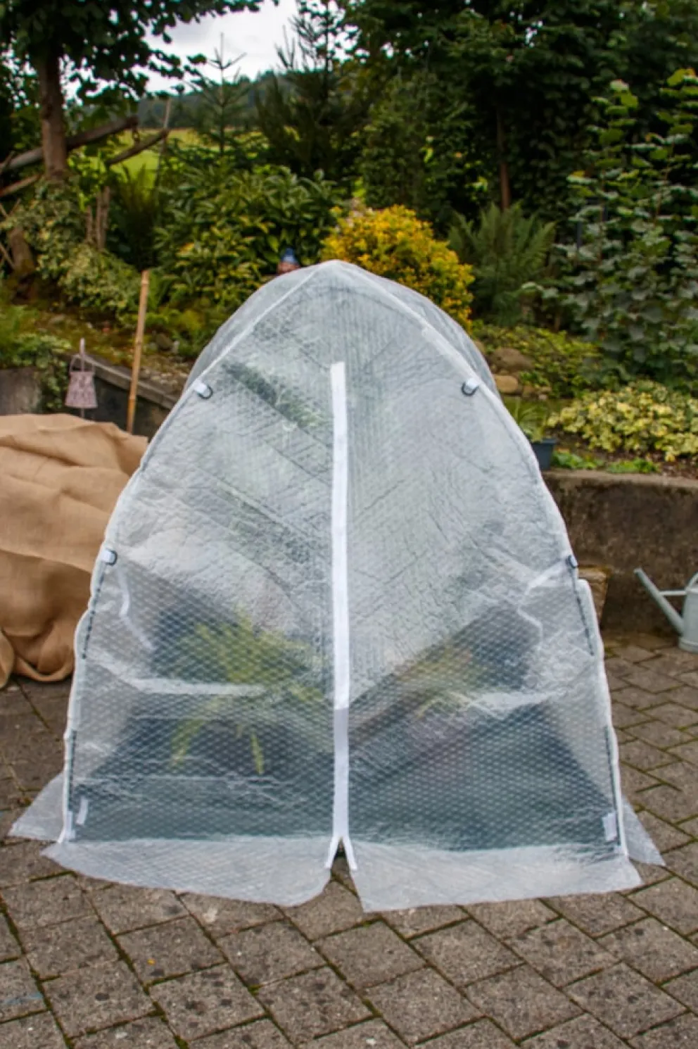 Colibri Abdeckung Dome transparent