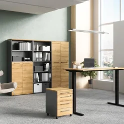 GERMANIA Aktenschrank Agenda dunkelgrau, eichefarbig Outlet