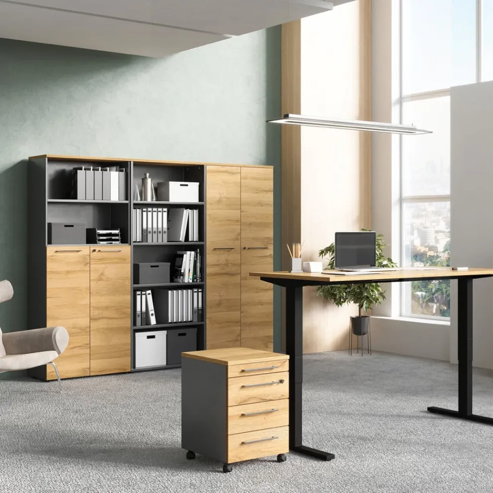 GERMANIA Aktenschrank Agenda dunkelgrau, eichefarbig Outlet