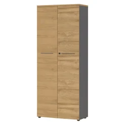 GERMANIA Aktenschrank Agenda dunkelgrau, eichefarbig Clearance