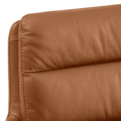 Dieter Knoll Armlehnstuhl Everest camel 664 Online