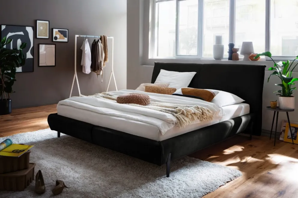 Edition Bett Laverna anthrazit Clearance