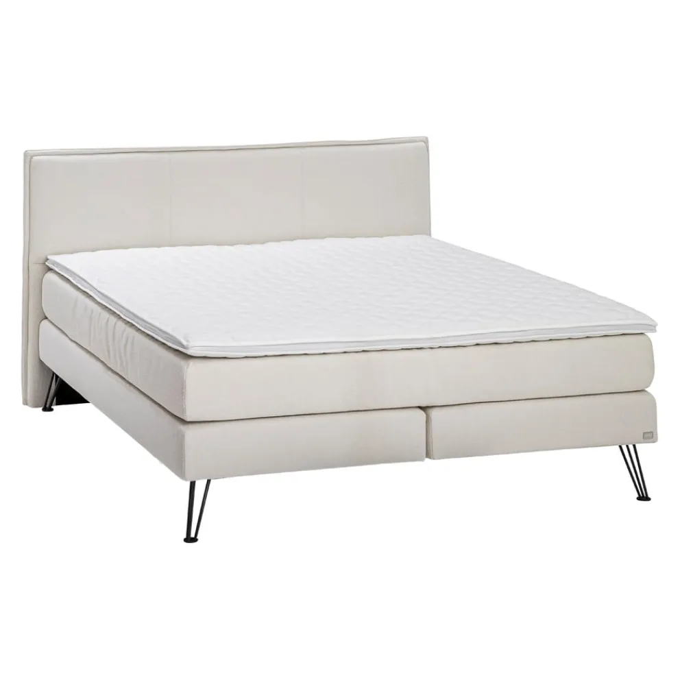 HASENA Boxspringbett Island-Spring Modern Ivory New