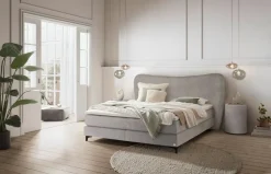 HASENA Boxspringbett ISLAND-STYLE Mito ashgrey 821 Sale