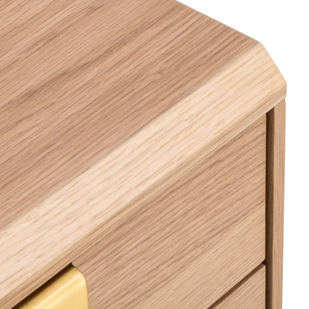 Edition Container APOLLO-105 eiche Hot