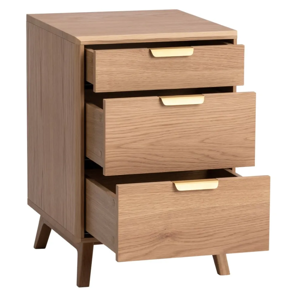 Edition Container APOLLO-105 eiche Hot