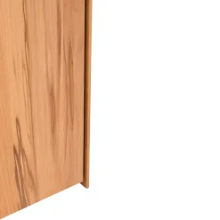 TEAM 7 Drehtürenschrank Schranksyst buchefarbig