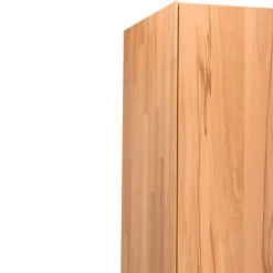 TEAM 7 Drehtürenschrank Schranksyst buchefarbig