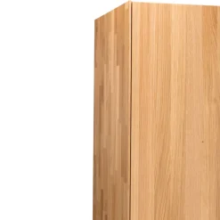 TEAM 7 Drehtürenschrank Schranksyst buchefarbig Best