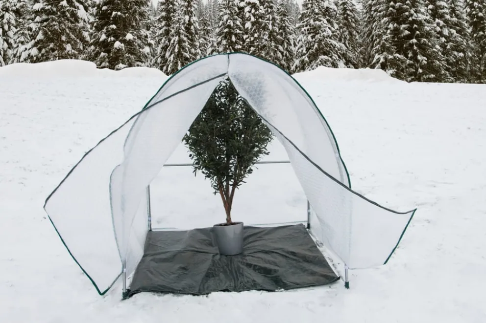 Colibri Ersatzfolie Yurt transparent Clearance