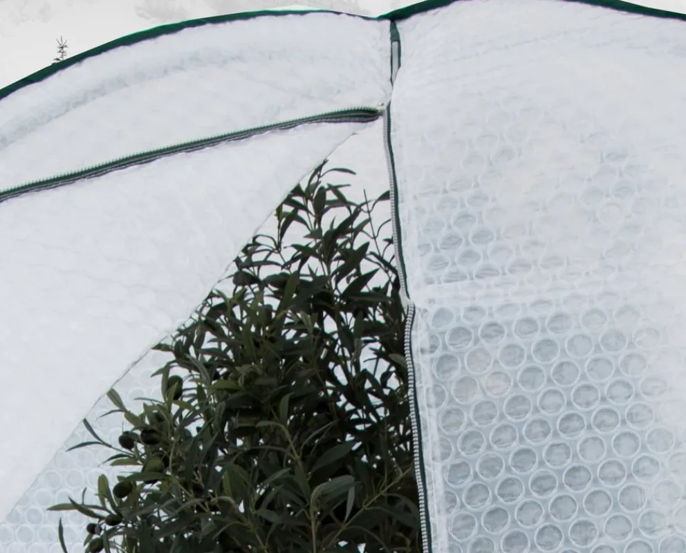 Colibri Ersatzfolie Yurt transparent Clearance