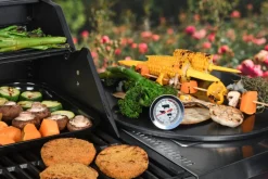 BBQ Dragon Fleischthermometer Analog grau Best