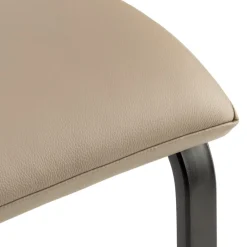 seetalswiss Freischwinger Eva New