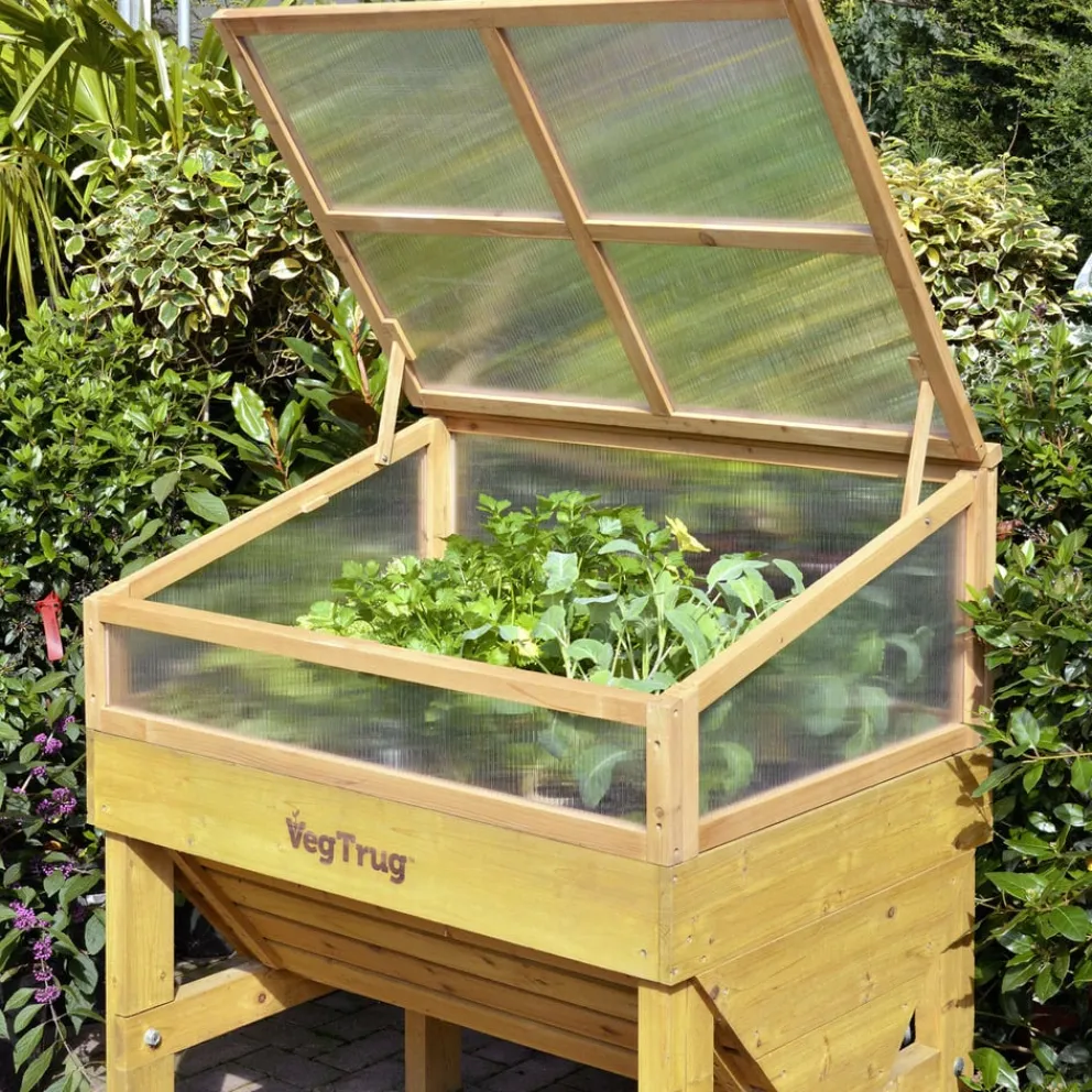 VegTrug Frühbeetaufsatz Pflanztrog naturel Best