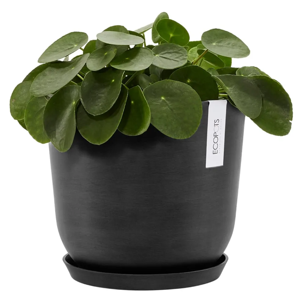 Ecopots Gartentopf Oslo dunkelgrau Online