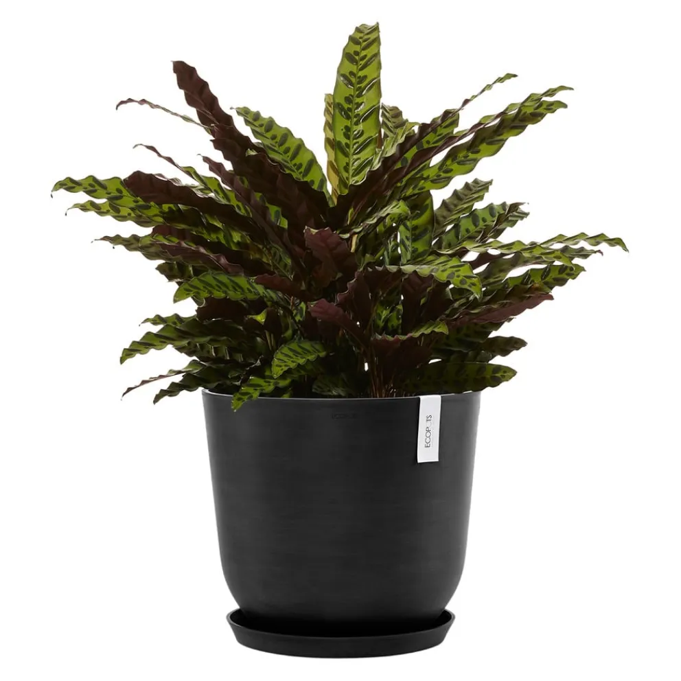 Ecopots Gartentopf Oslo dunkelgrau Hot