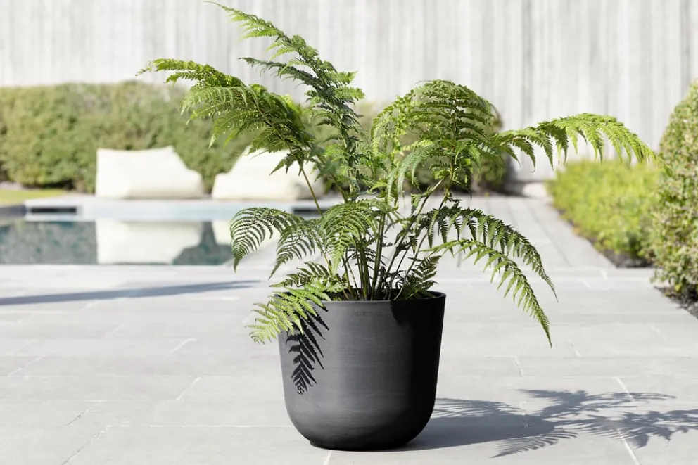 Ecopots Gartentopf Oslo dunkelgrau Hot