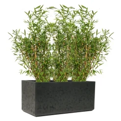 KIRSCHKE Gartentopf Rockline schwarz Hot