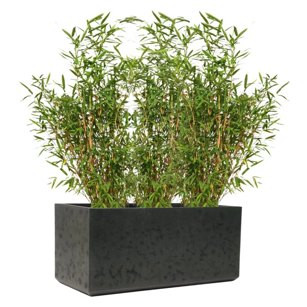 KIRSCHKE Gartentopf Rockline schwarz Hot