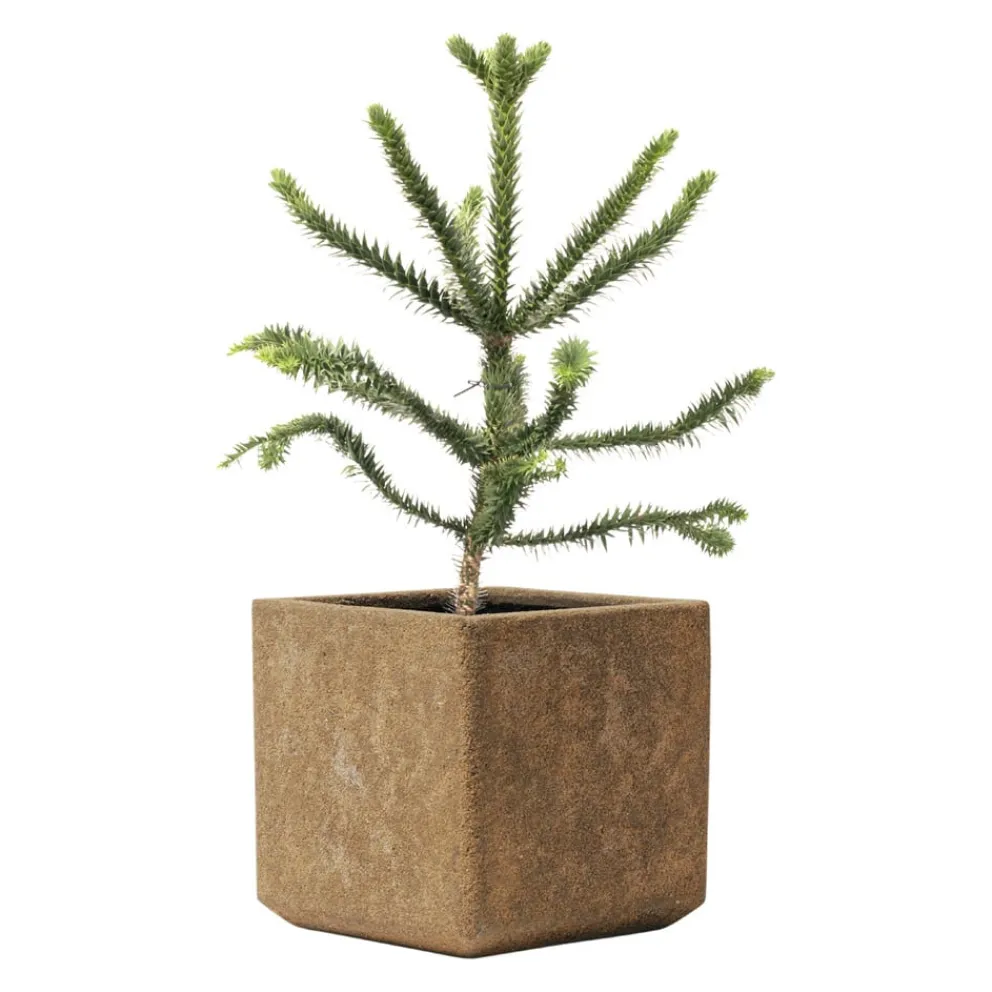 KIRSCHKE Gartentopf Rockline braun New