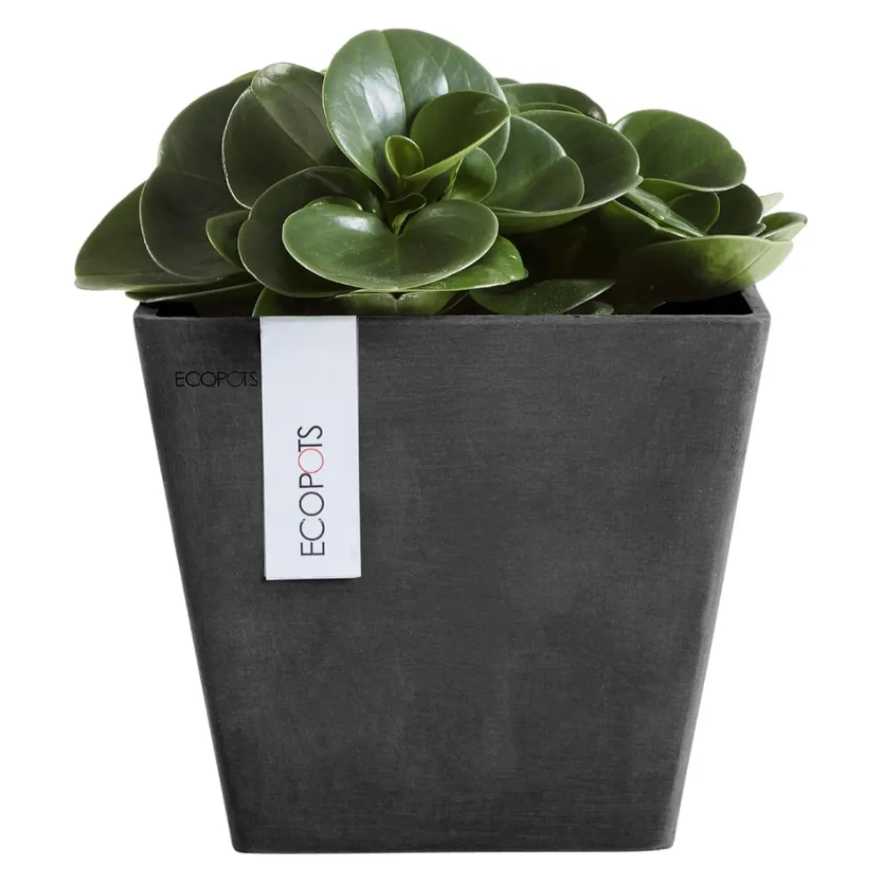 Ecopots Gartentopf Rotterdam dunkelgrau Outlet