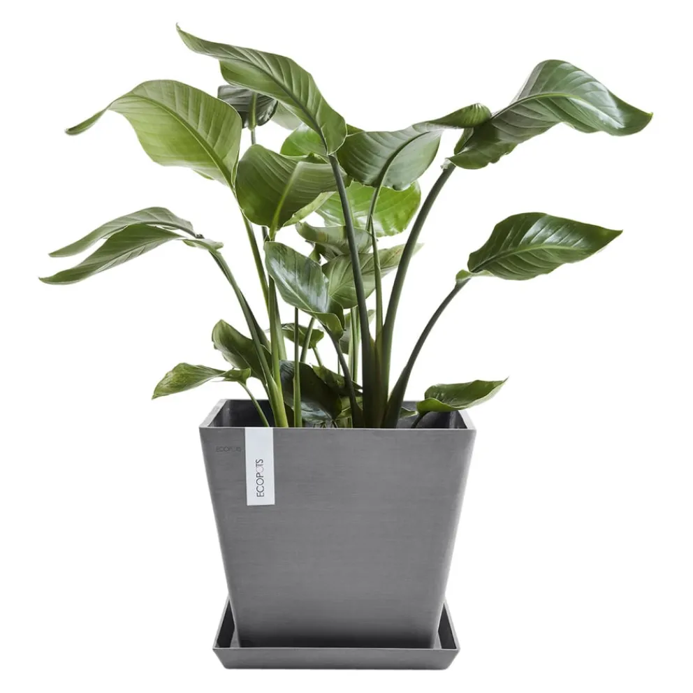 Ecopots Gartentopf Rotterdam grau