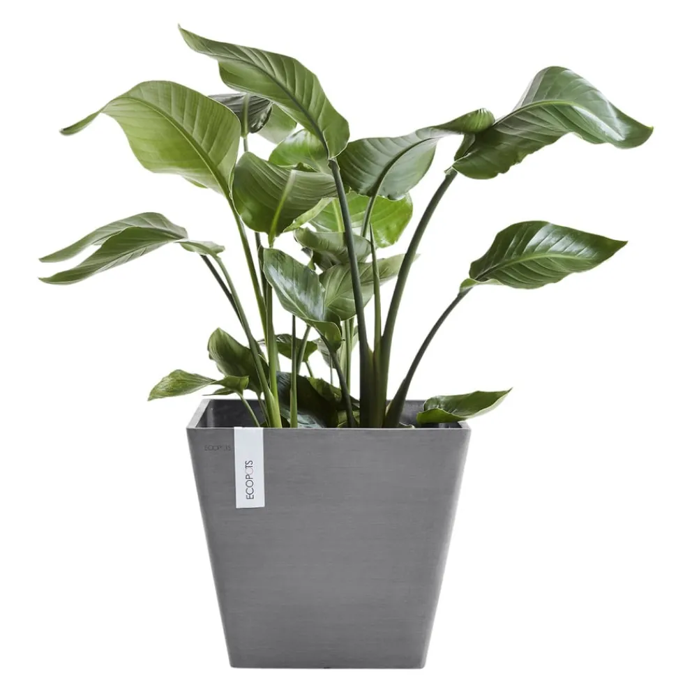 Ecopots Gartentopf Rotterdam grau