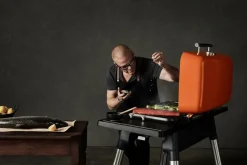 Everdure Gasgrill Furnace orange Best