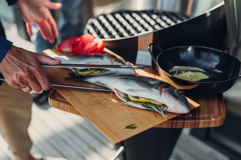 Höfats Grillzange Tools silber