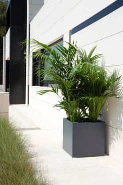 Herstera Hochbeet Metal Planter anthrazit Sale