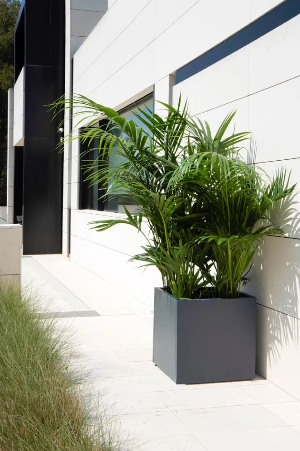 Herstera Hochbeet Metal Planter anthrazit Sale