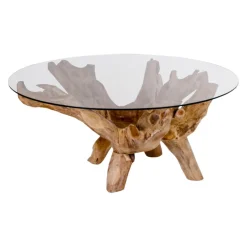 Johann Jakob Klubtisch Amazonas transparent Sale