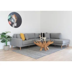 Johann Jakob Klubtisch Amazonas transparent Sale
