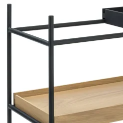 Johann Jakob Regal Alfa eichefarbig, schwarz Hot