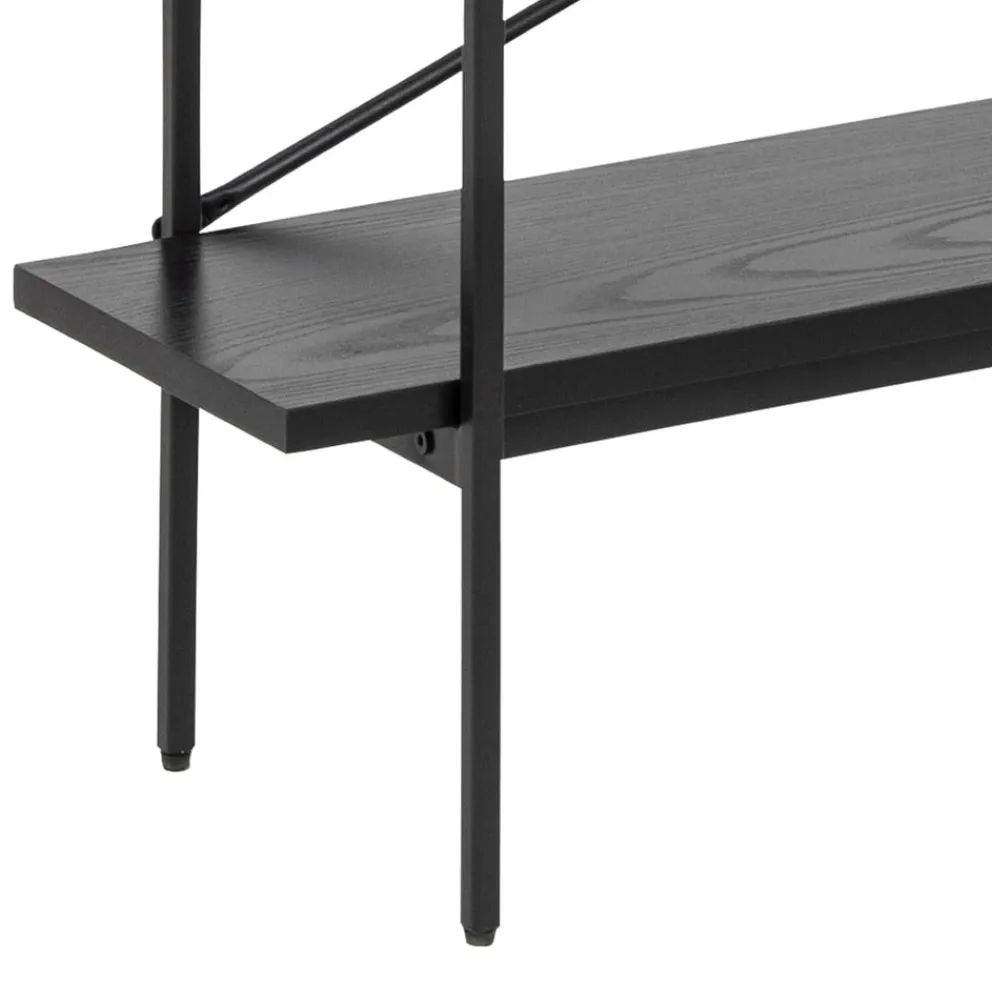 Lomoco Regal Angus schwarz Best