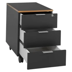Johann Jakob Rollcontainer Ufficio anthrazit New