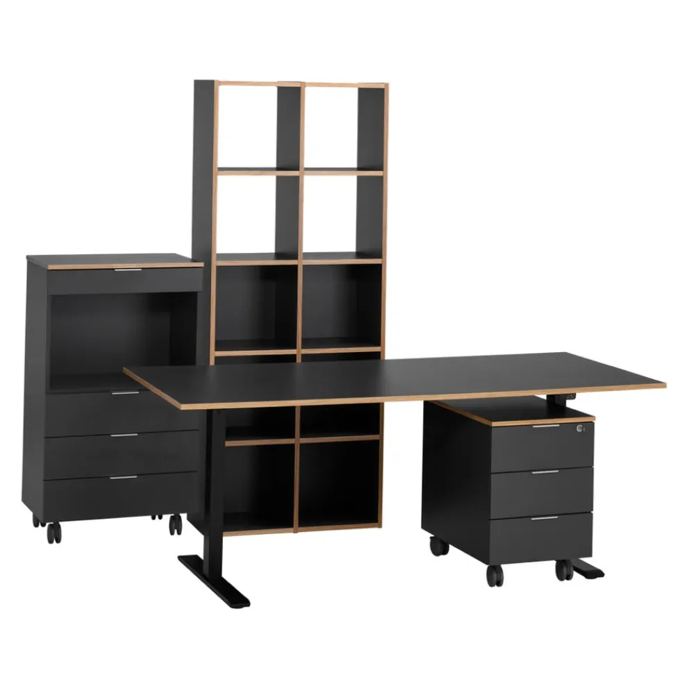 Johann Jakob Rollcontainer Ufficio anthrazit Online