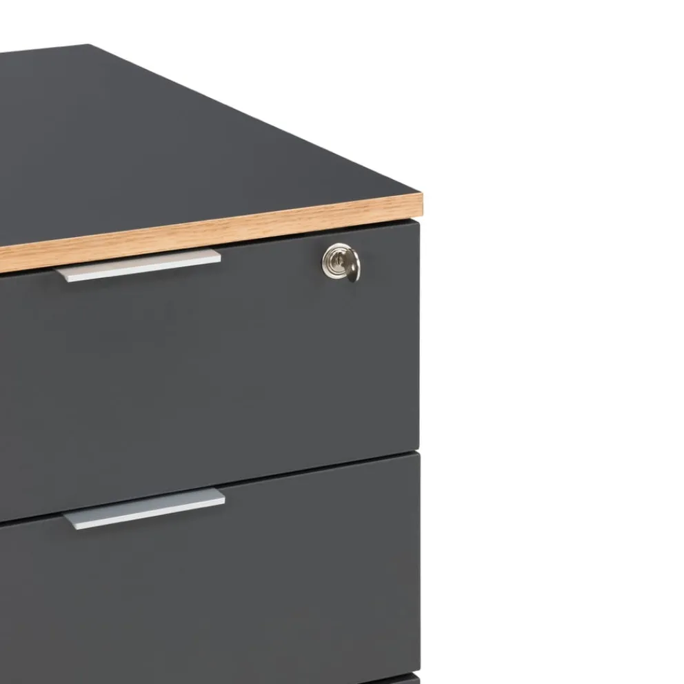 Johann Jakob Rollcontainer Ufficio anthrazit Online