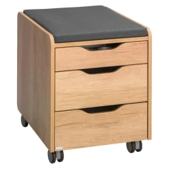 PAIDI Rollcontainer Zubehör eichefarbig