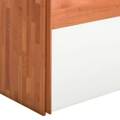 TEAM 7 Schiebetürenschrank Valore Outlet