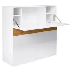 Temahome Schreibtisch Focus weiss Discount