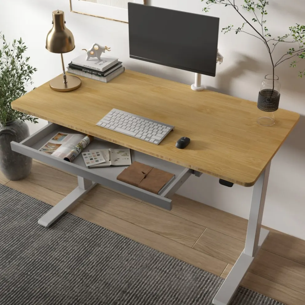 BYYU Schreibtisch Motion Best