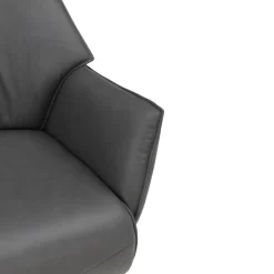Himolla Sessel Airolo Kat. 31, Longlife Soft moor Online
