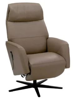 Stressless Sessel ST-Scott 091 Cori 09 Mole Hot