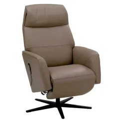 Stressless Sessel ST-Scott 091 Cori 09 Mole New