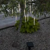 Star Trading Solarleuchte Bubbly Outlet