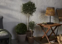 Star Trading Solarleuchte Cesta Solar braun Online
