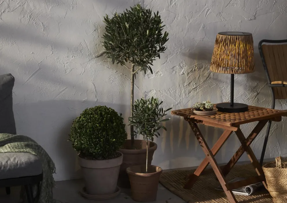 Star Trading Solarleuchte Cesta Solar braun Online