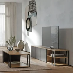 Temahome TV-Möbel Albi eichefarbig, schwarz Online
